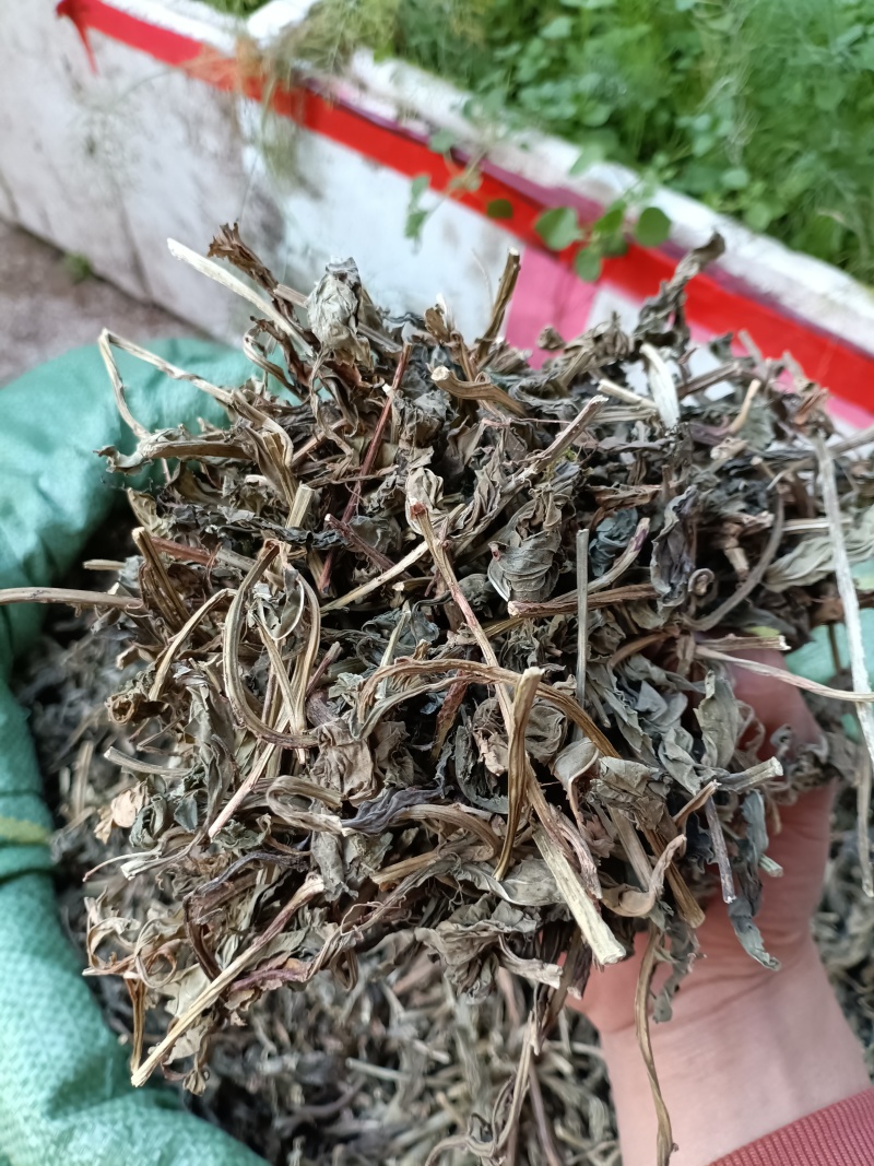 灵草/灵香草/精选好货，批发兼零售量大可商议，全国包邮