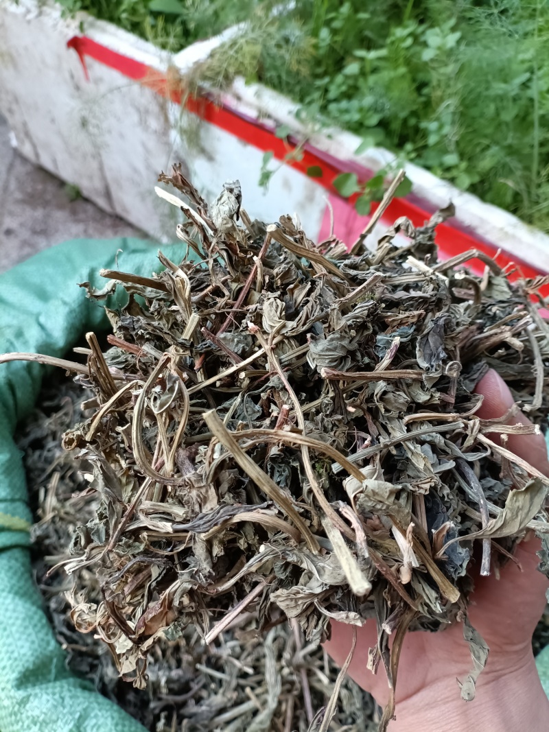 灵草/灵香草/精选好货，批发兼零售量大可商议，全国包邮