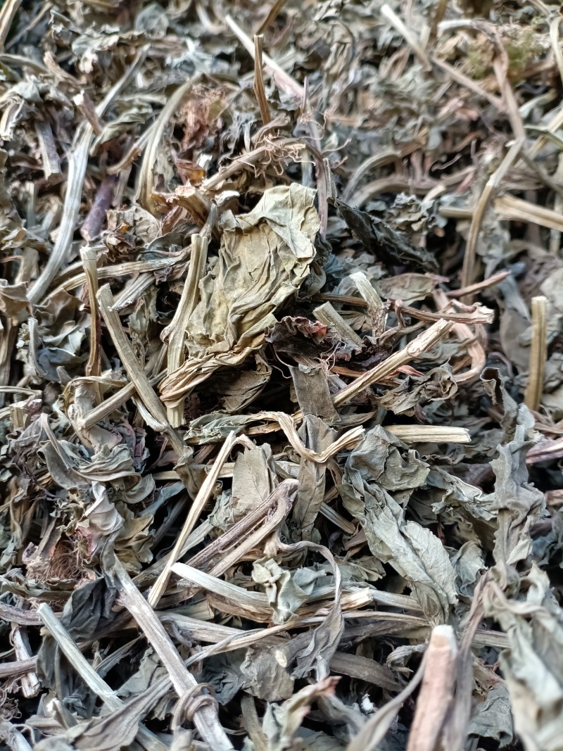 灵草/灵香草/精选好货，批发兼零售量大可商议，全国包邮