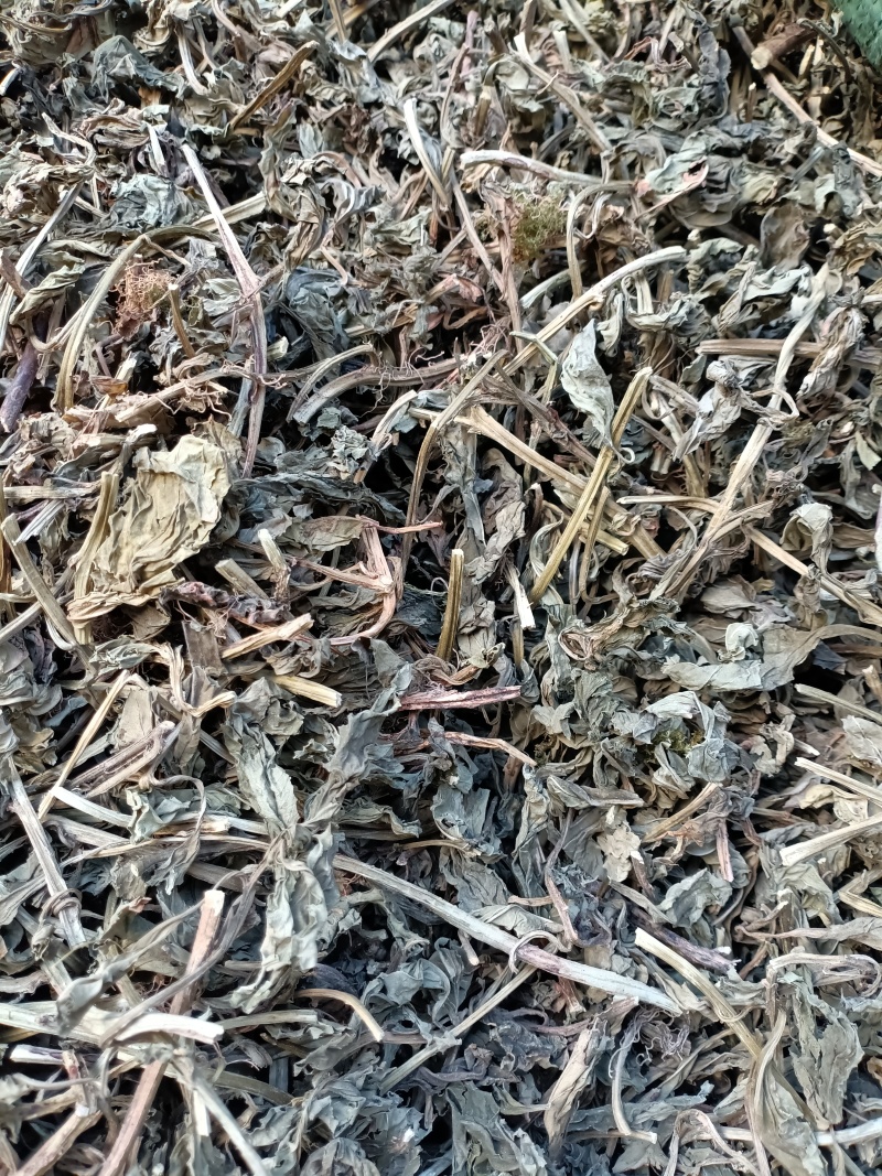 灵草/灵香草/精选好货，批发兼零售量大可商议，全国包邮