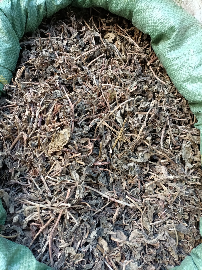 灵草/灵香草/精选好货，批发兼零售量大可商议，全国包邮