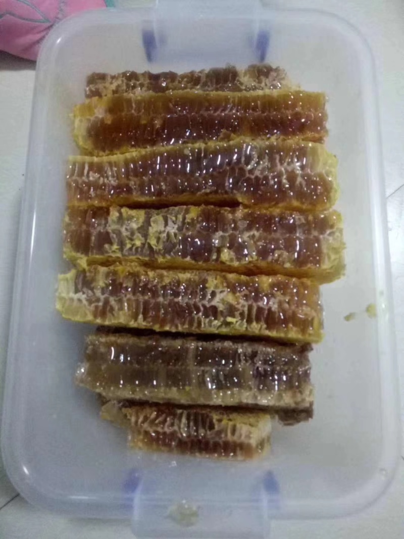 正宗土蜂蜜