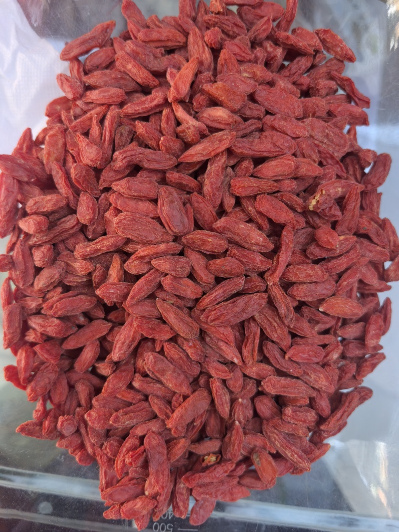 新货枸杞子500g免洗大粒枸杞红枸杞枸杞子