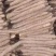 麻山药一手货源全国代发网袋货散装货打捆货都有