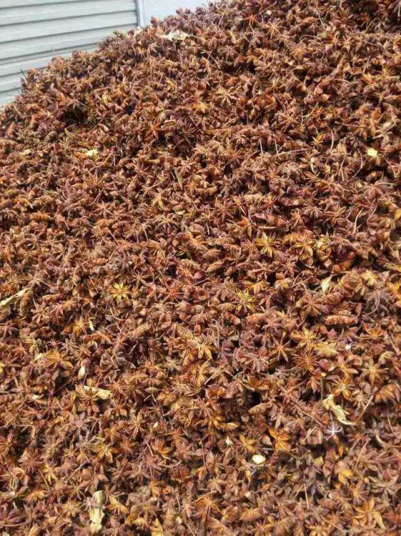 红河草果云南草果无添加产地直供货源充足按需配货