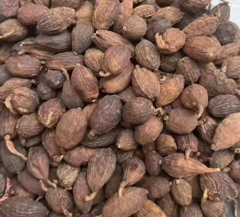 红河草果云南草果无添加产地直供货源充足按需配货