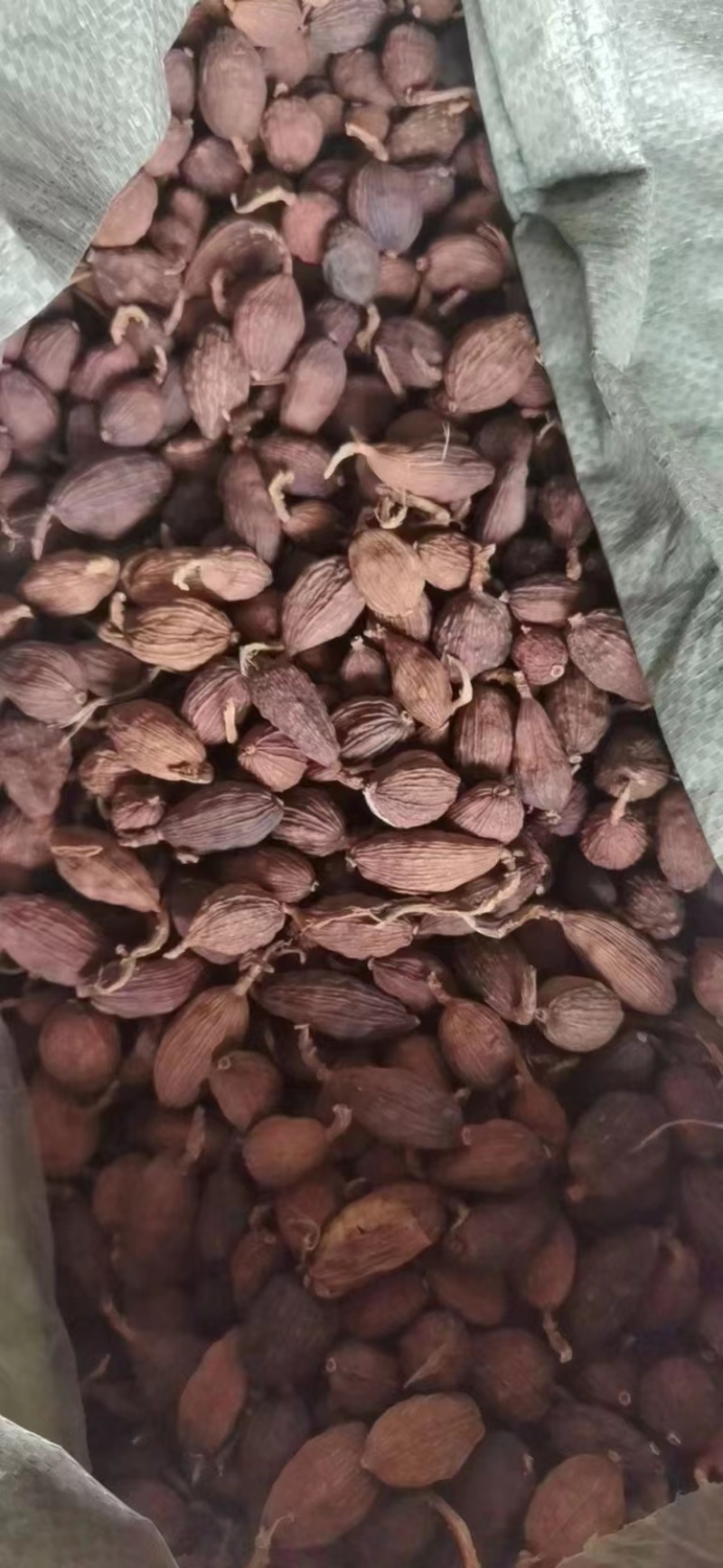 红河草果云南草果无添加产地直供货源充足按需配货