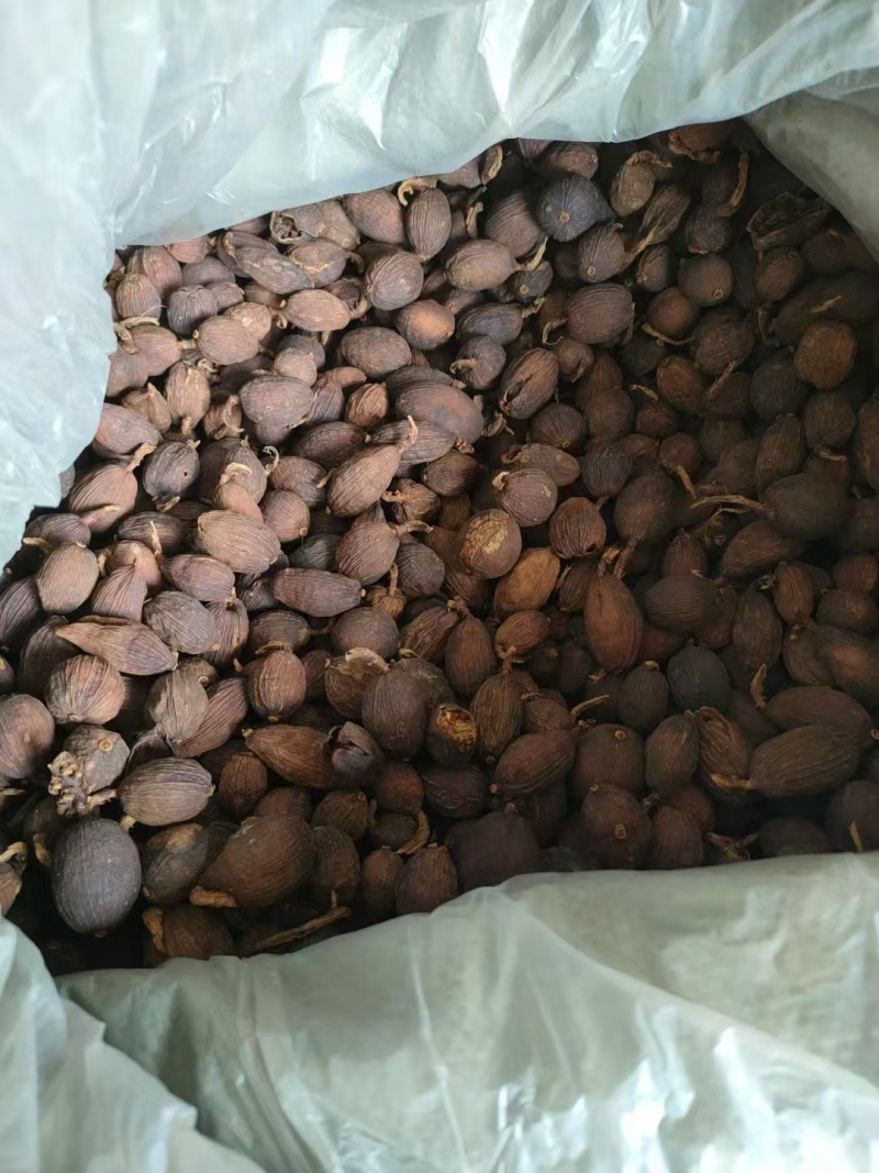 红河草果云南草果无添加产地直供货源充足按需配货