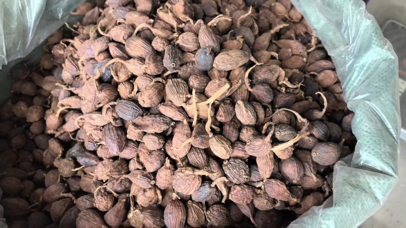 红河草果云南草果无添加产地直供货源充足按需配货