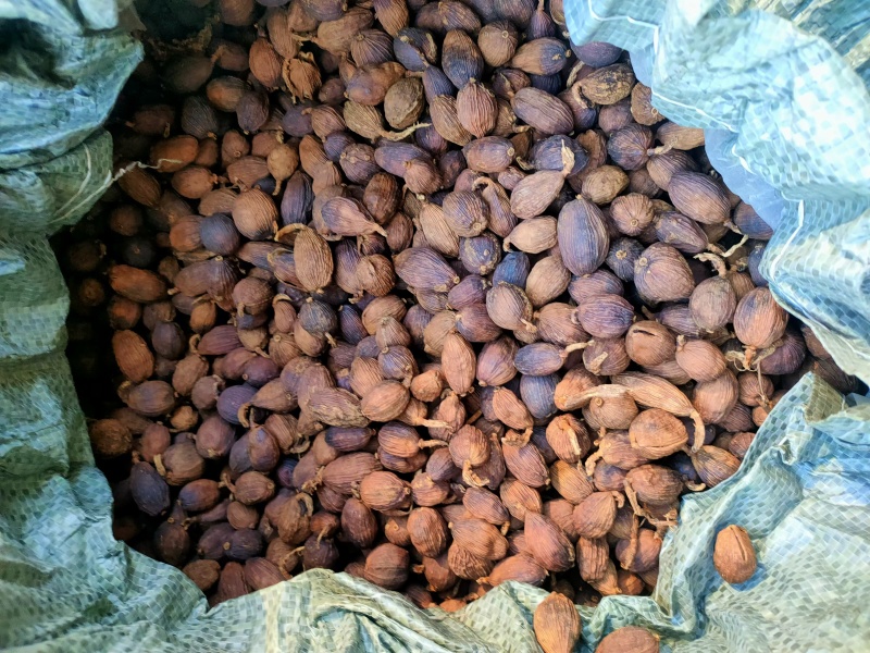 红河草果云南草果无添加产地直供货源充足按需配货