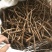 牡丹皮，刮皮抽芯都是抽完心的，抽心95%以上。