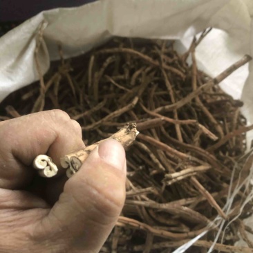 牡丹皮，刮皮抽芯都是抽完心的，抽心95%以上。