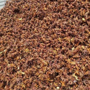 云南大红干八角无硫八角产地一手货按需配货对接全国