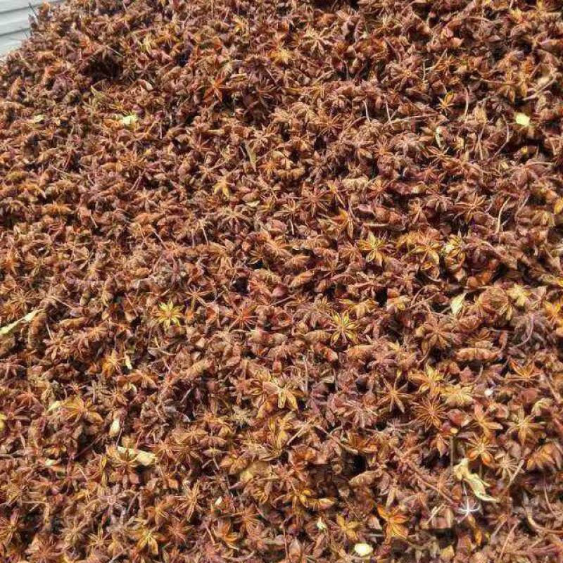 云南大红干八角无硫八角产地一手货按需配货对接全国