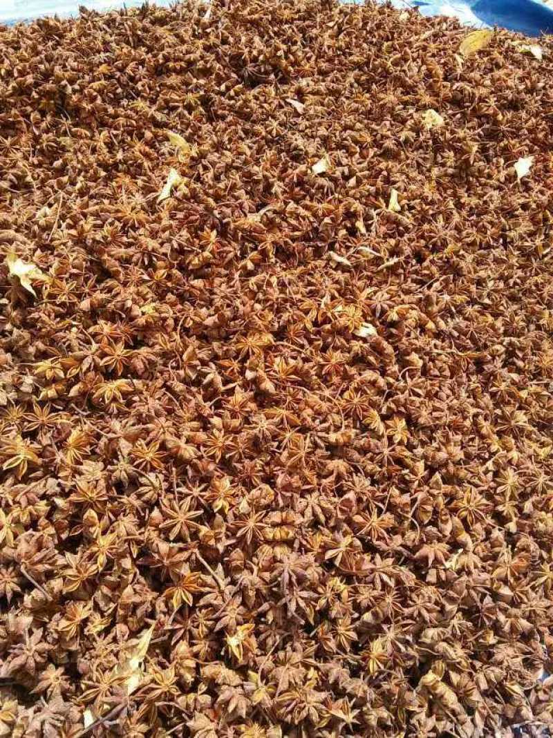 云南大红干八角无硫八角产地一手货按需配货对接全国