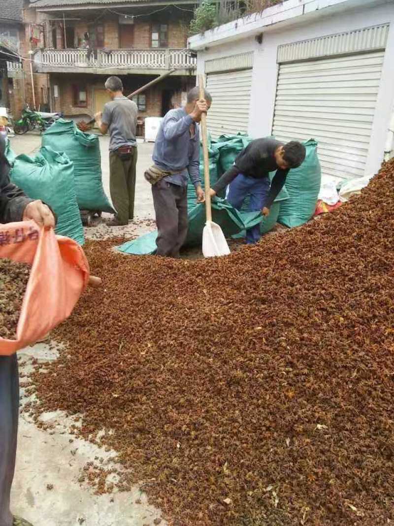云南大红干八角无硫八角产地一手货按需配货对接全国