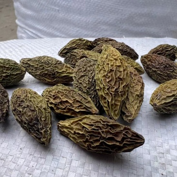 青果/青橄榄/干货香料调料/去腥增味