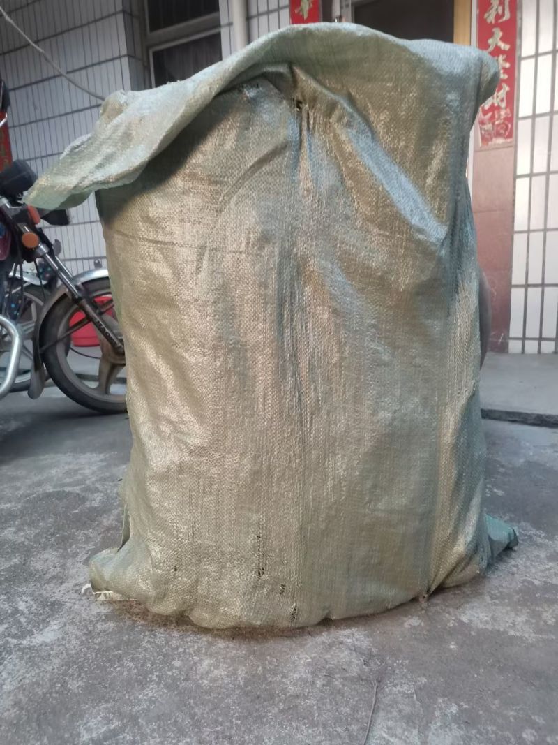广东省毒鱼藤根专用/见效快/欢迎广大客商咨询