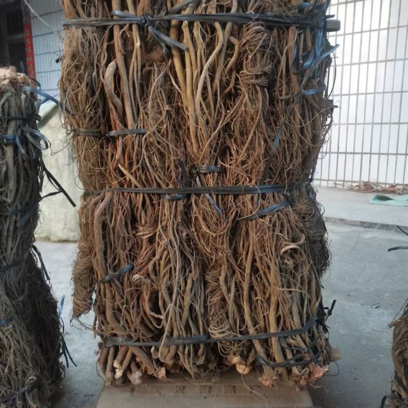 广东省毒鱼藤根专用/见效快/欢迎广大客商咨询