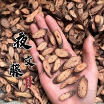 夜交藤何首乌藤产地直发夜交藤段首乌藤夜交藤片