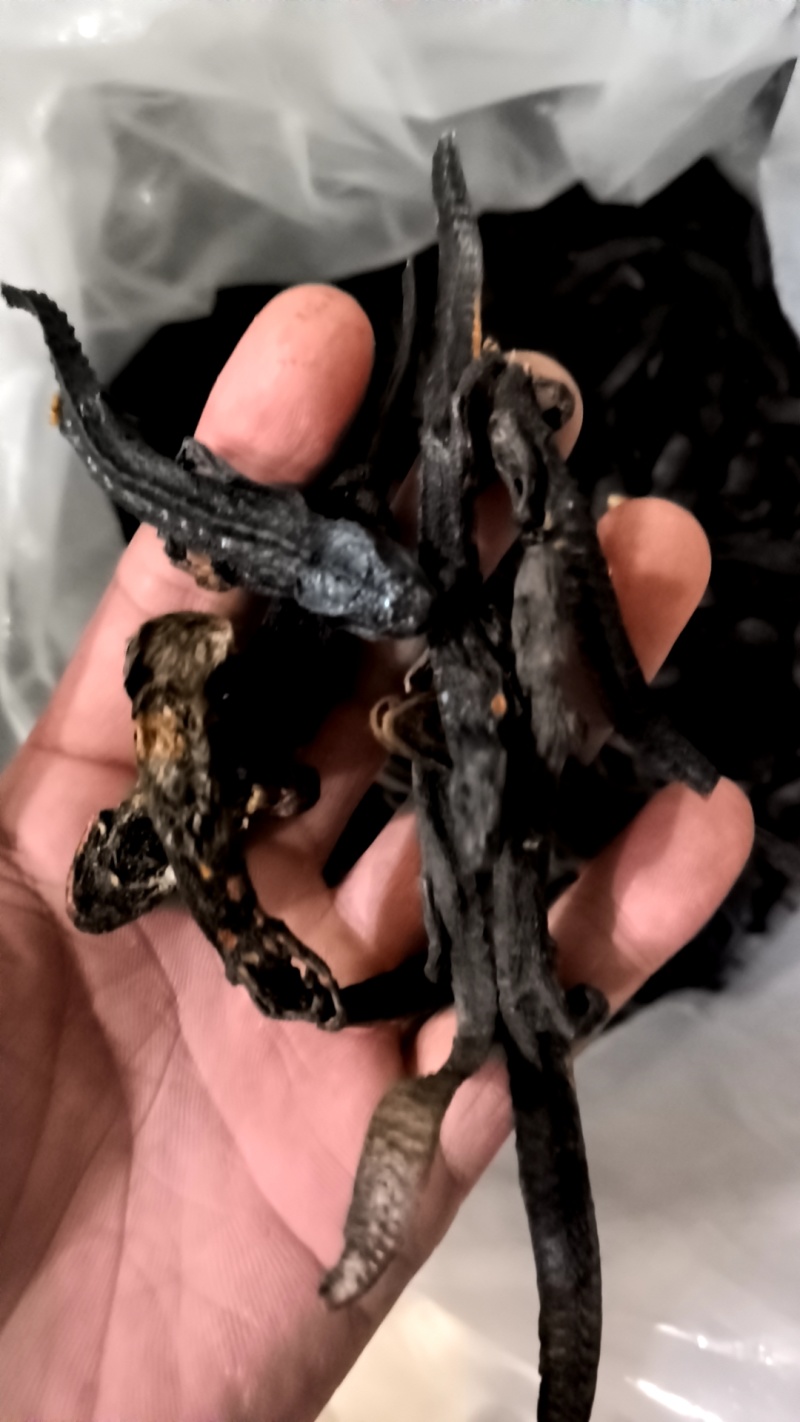 红杉鱼羌活鱼接骨丹中药材批发零售各种中药材……