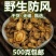 海拉尔野防风/黑防风/无硫原色/高含量/内蒙防风