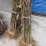 大红袍花椒，九月青椒苗，四川发货