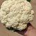 【荐】精品有机花产地直发大量现货可视频看货品质保证
