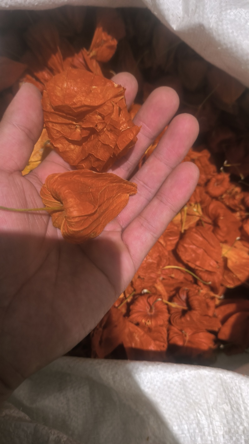 灯笼草锦灯笼中药材批发零售各种中药材，欢迎咨询……