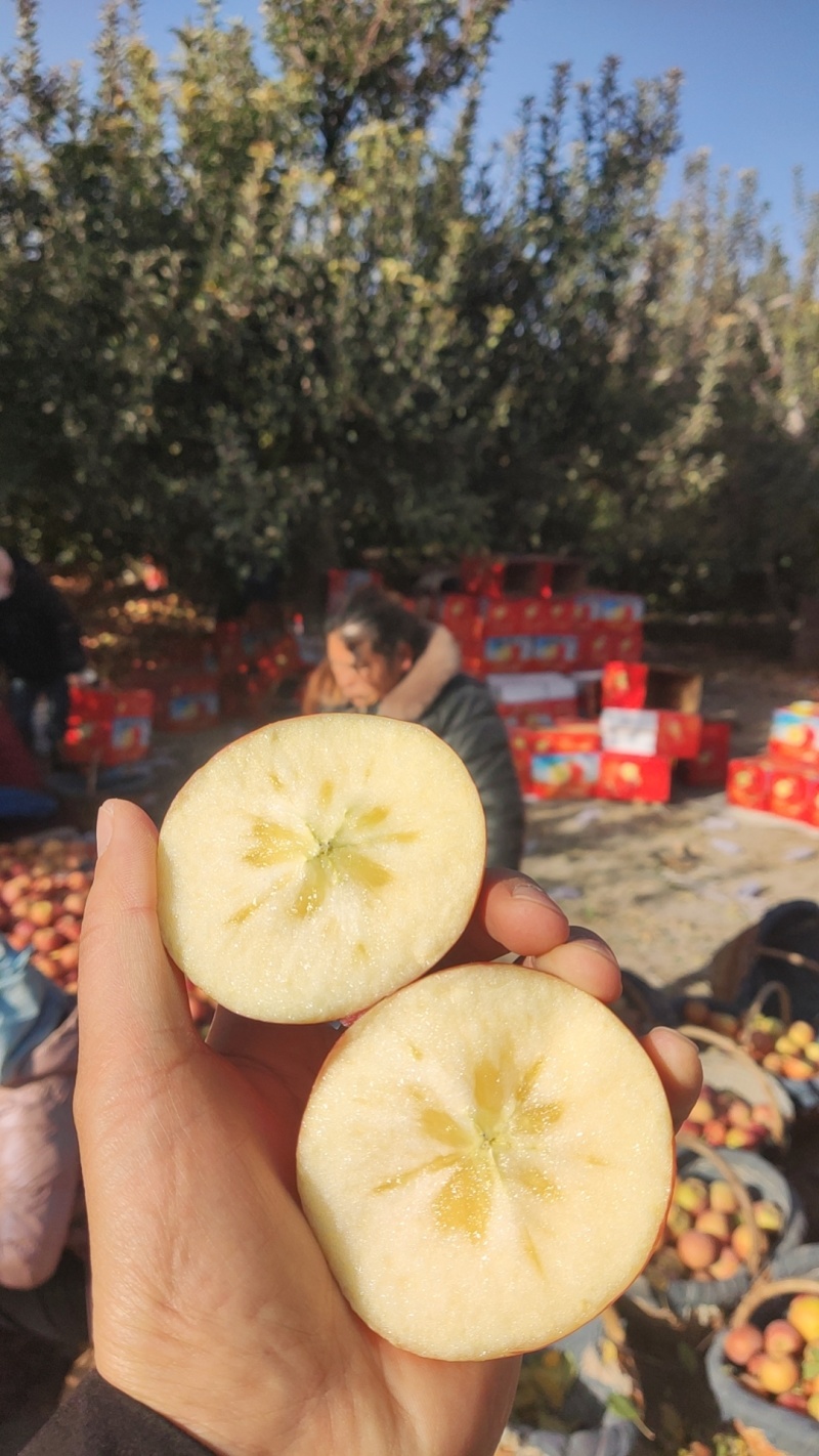 新疆阿克苏冰糖心苹果，每一颗都有糖心，这里有一级果二级果