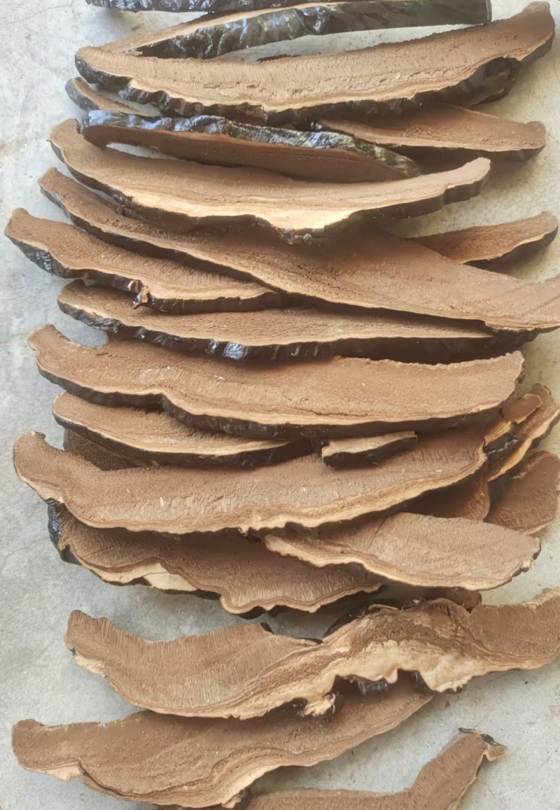 精品灵芝切片大量上市一手货源常年供应价格实惠