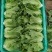 精品意大利生菜货源充足可供大型超市市场等量大优惠