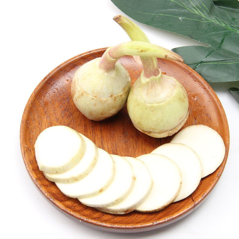 盐城纯白《大茨菇》慈菇代办欢迎全国客商来产地批发订购！