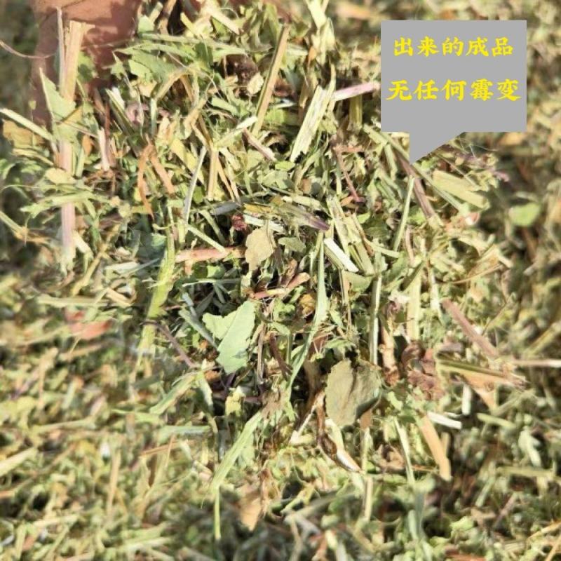 新干花生秧，绿色，无霉变。