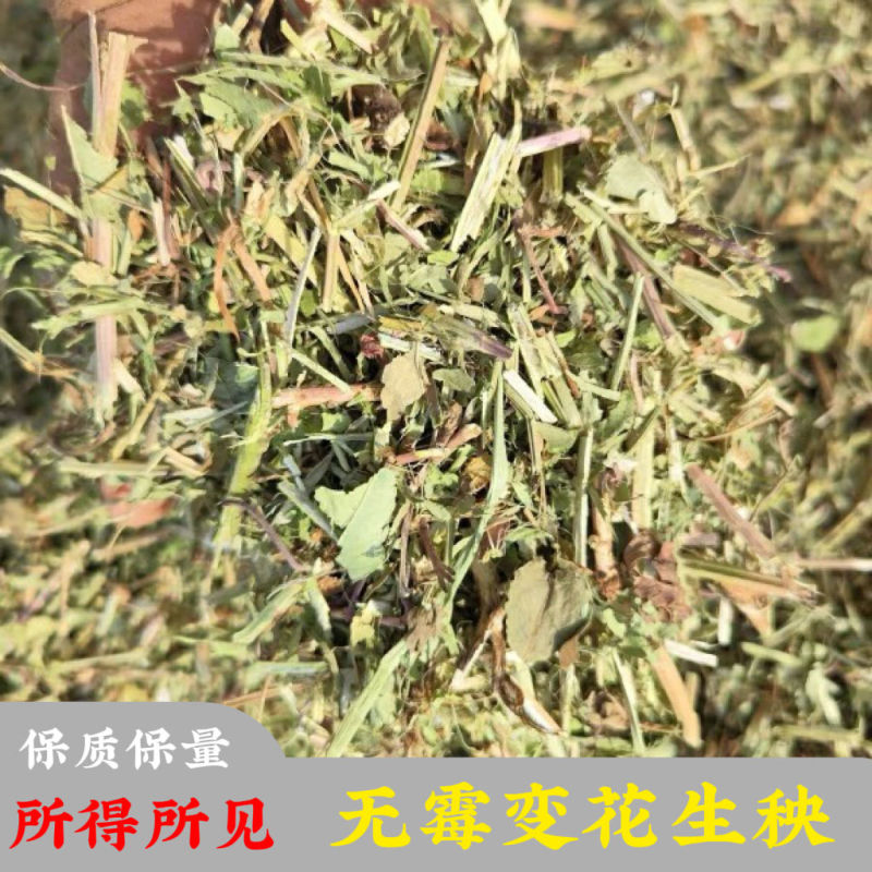 新干花生秧，绿色，无霉变。