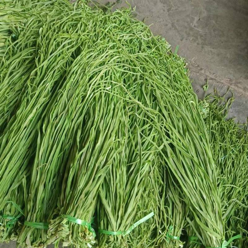 云南精品贡菜源头产地一手，批发商社区电商一件代发