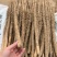 麻山药河北山药大量现货上市中现挖现发全国发货