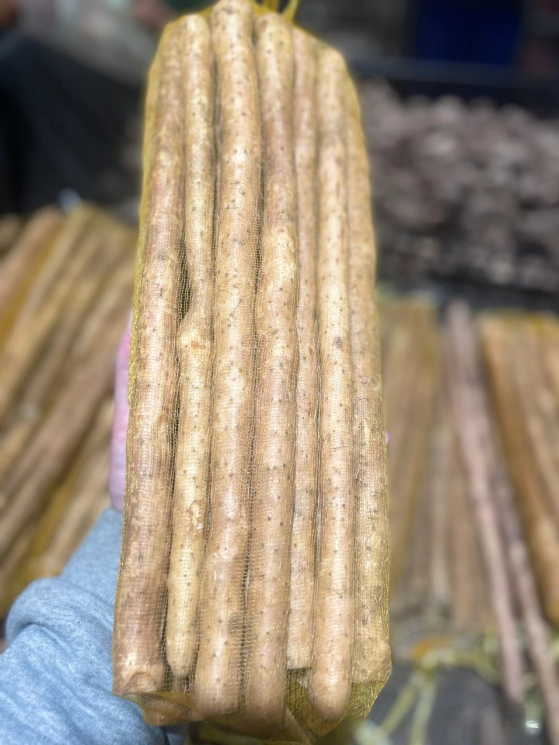 麻山药河北山药大量现货上市中现挖现发全国发货