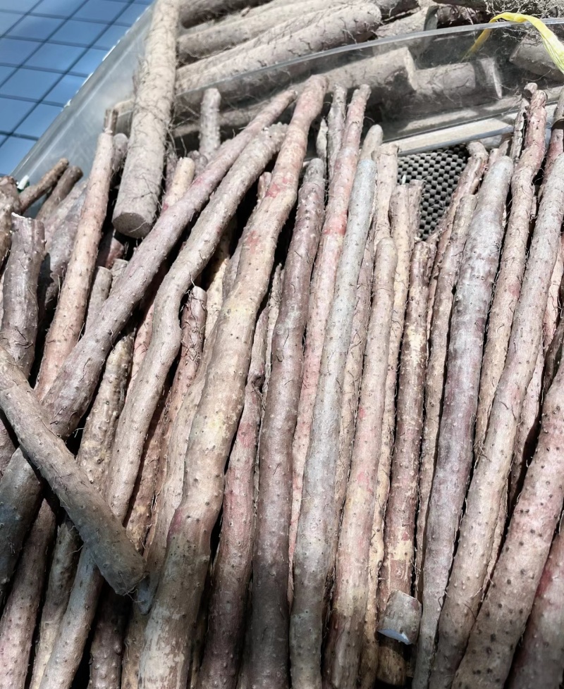 麻山药河北山药大量现货上市中现挖现发全国发货