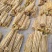 麻山药河北山药大量现货上市中现挖现发全国发货