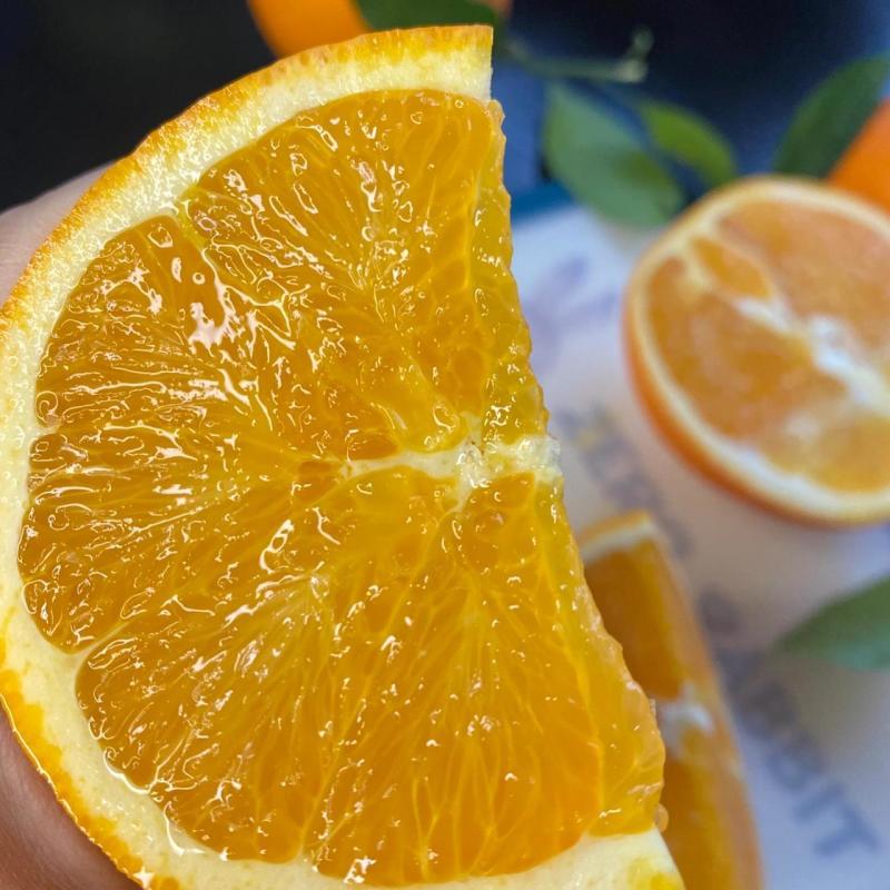 江西赣南脐橙精品货基地直采直发，顺丰日发万单对接一件代发