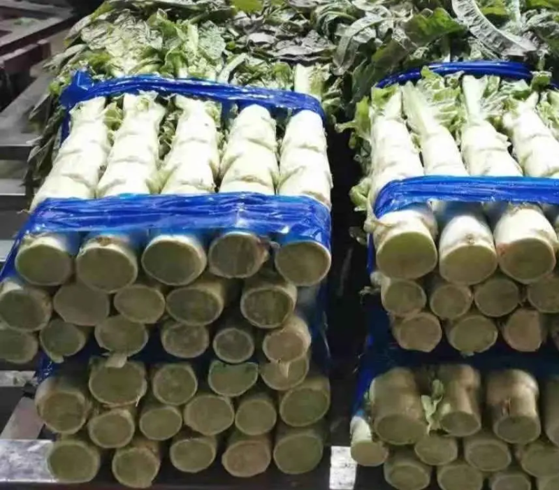 【推荐】尖叶莴笋产地直发，万亩基地量大从优，欢迎大家采购