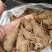 白术种苗白术芽子成活率高量大从优产量高欢迎联系