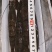 东山岛大草虾，黑虎虾，活体速冻，小件试样6盒=6袋1件