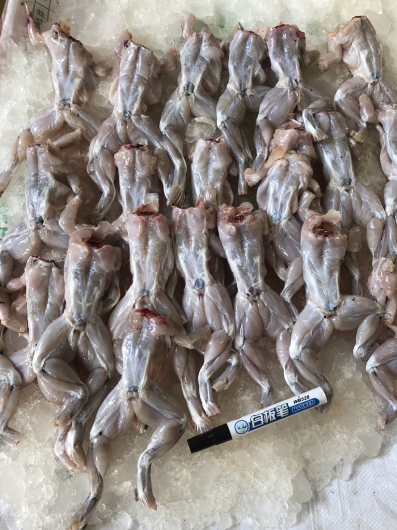 牛蛙，冰鲜牛蛙肉去皮去头去内脏干锅牛蛙烧烤牛蛙牛蛙火锅