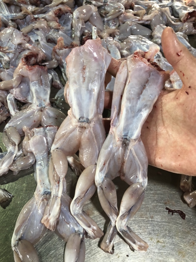 牛蛙，冰鲜牛蛙肉去皮去头去内脏干锅牛蛙烧烤牛蛙牛蛙火锅