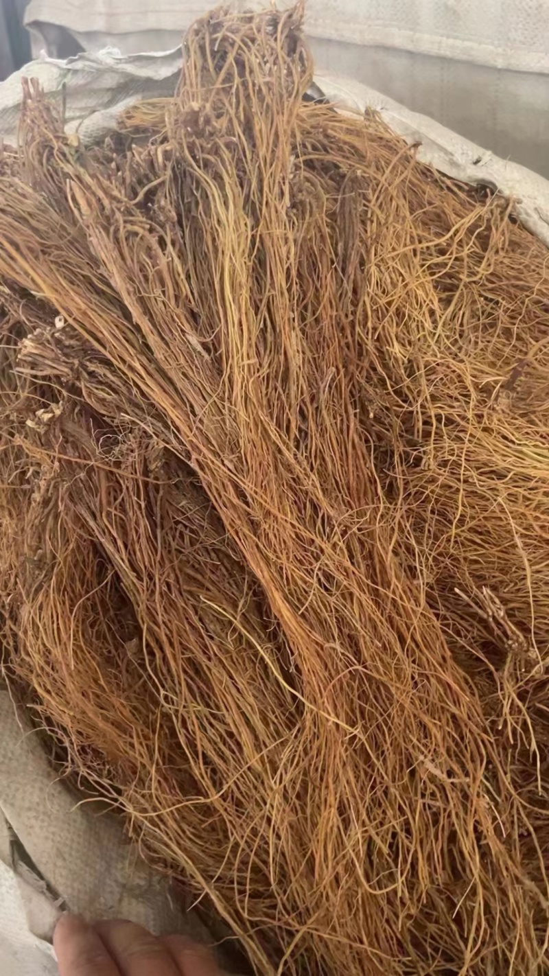 龙胆草选货正品龙胆草选货精品各种规格