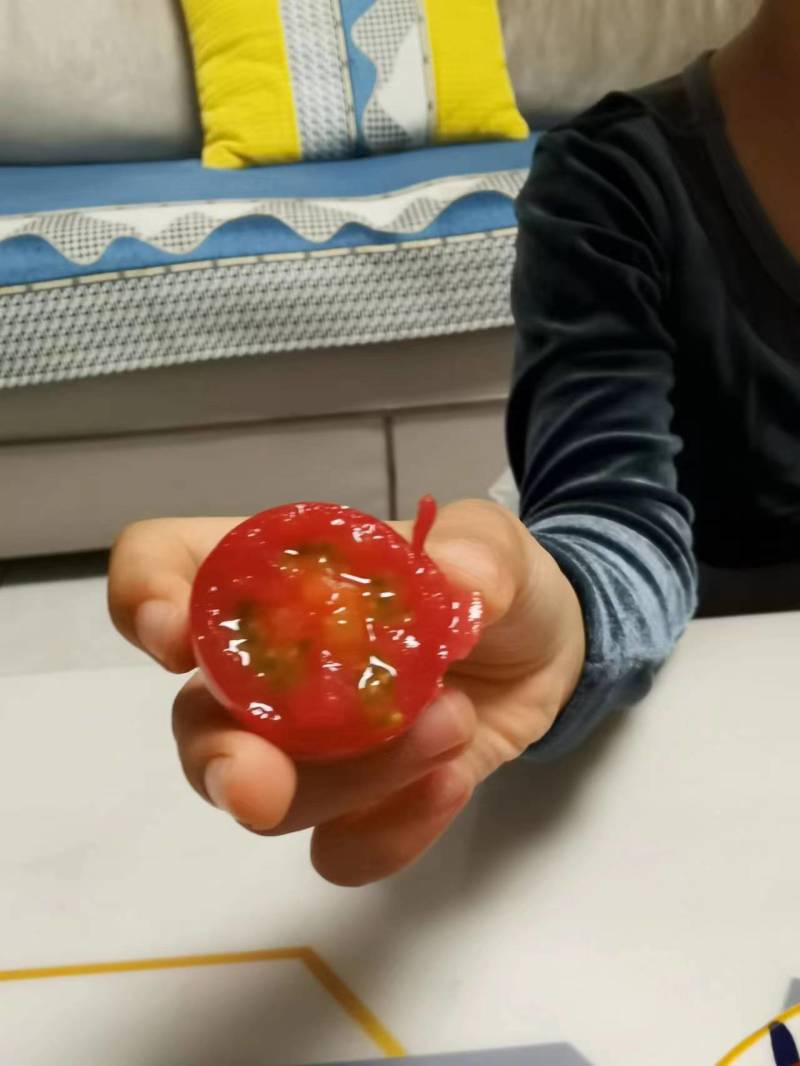 【山东济南贝贝圣女果】开始上市！价格美丽！欢迎询价！