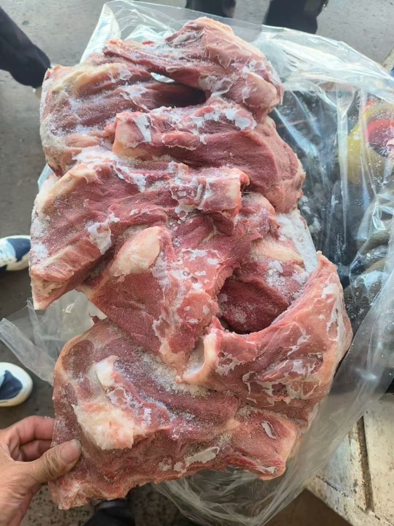 猪扇骨