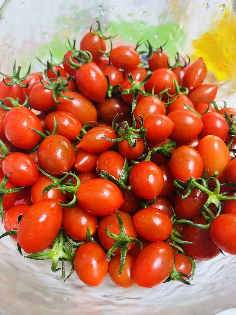 【山东济南釜山88】上市了！！真实价格，物美价廉实力代办